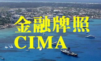 技術咨詢批發與供應服務 你必備的商業策略指南