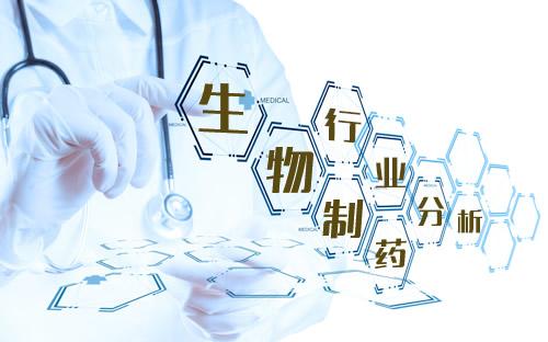 技術咨詢服務