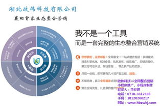 湖北政偉科技賦能中小企業 易站通網絡營銷全解析與服務升級